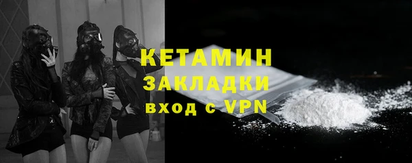 ГАЛЛЮЦИНОГЕННЫЕ ГРИБЫ Гусев